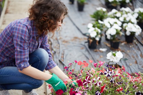 Front view of a gardener at work in a residential garden